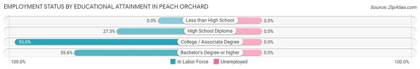 Employment Status by Educational Attainment in Peach Orchard