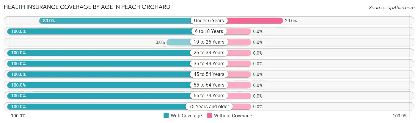 Health Insurance Coverage by Age in Peach Orchard