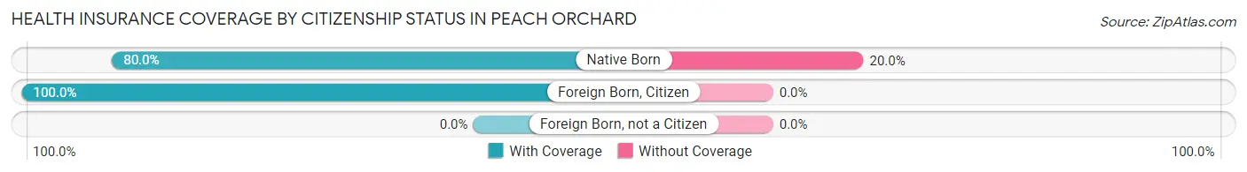 Health Insurance Coverage by Citizenship Status in Peach Orchard