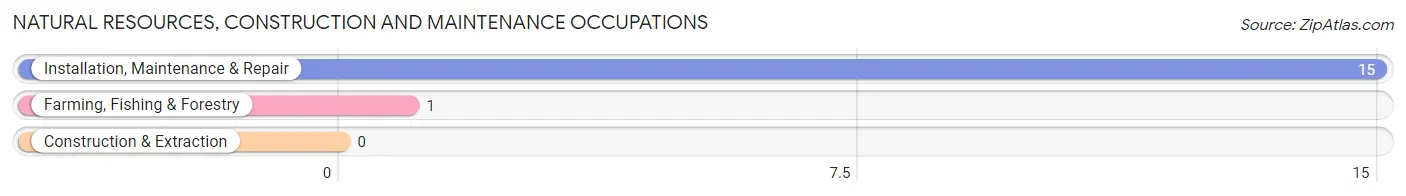 Natural Resources, Construction and Maintenance Occupations in Perrytown