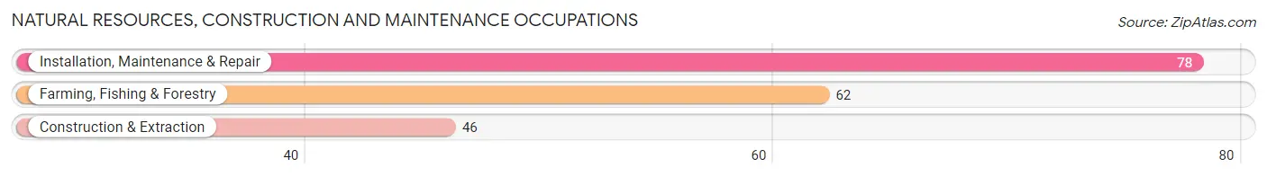 Natural Resources, Construction and Maintenance Occupations in Piggott