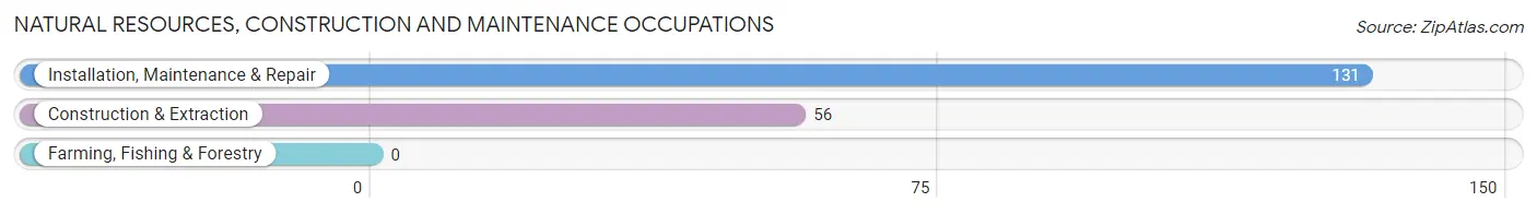 Natural Resources, Construction and Maintenance Occupations in Piney