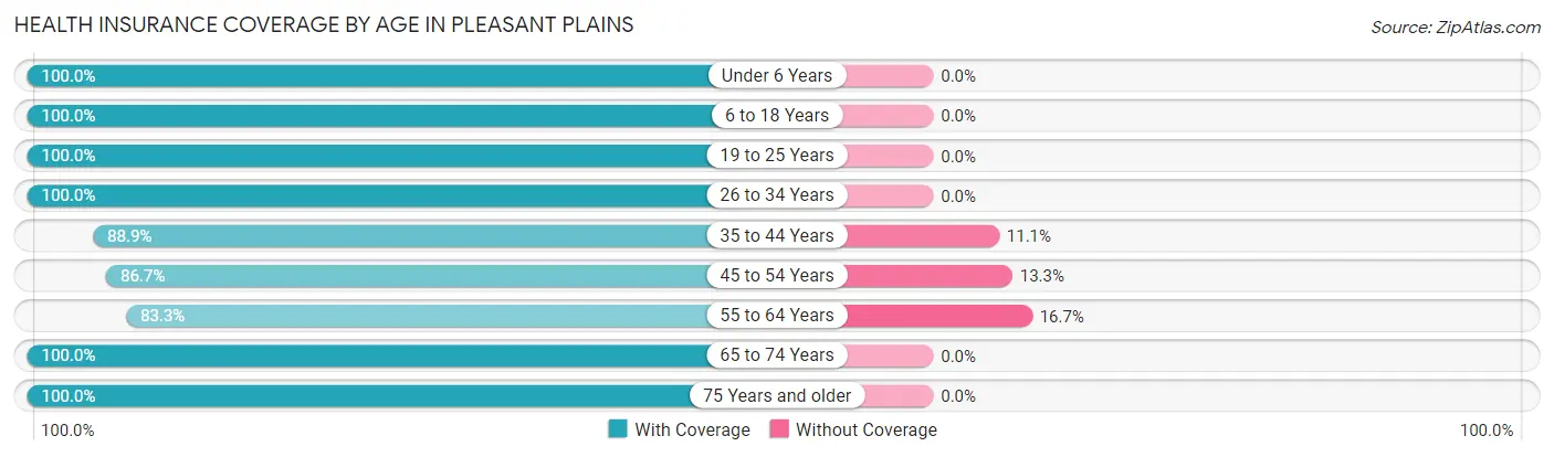 Health Insurance Coverage by Age in Pleasant Plains