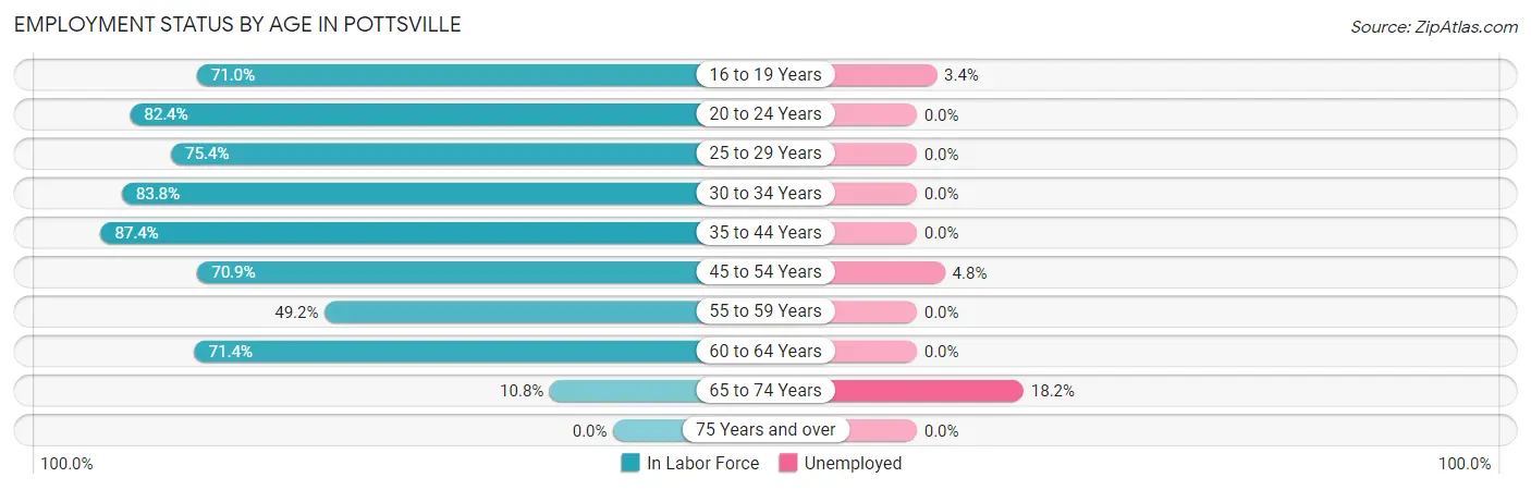 Employment Status by Age in Pottsville