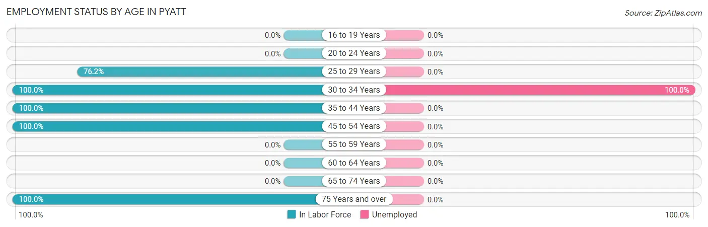 Employment Status by Age in Pyatt