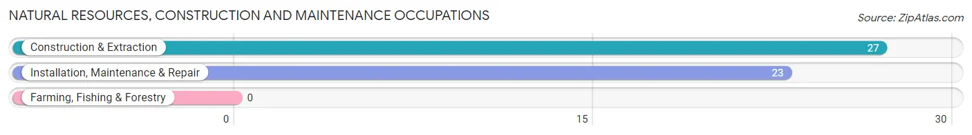 Natural Resources, Construction and Maintenance Occupations in Quitman