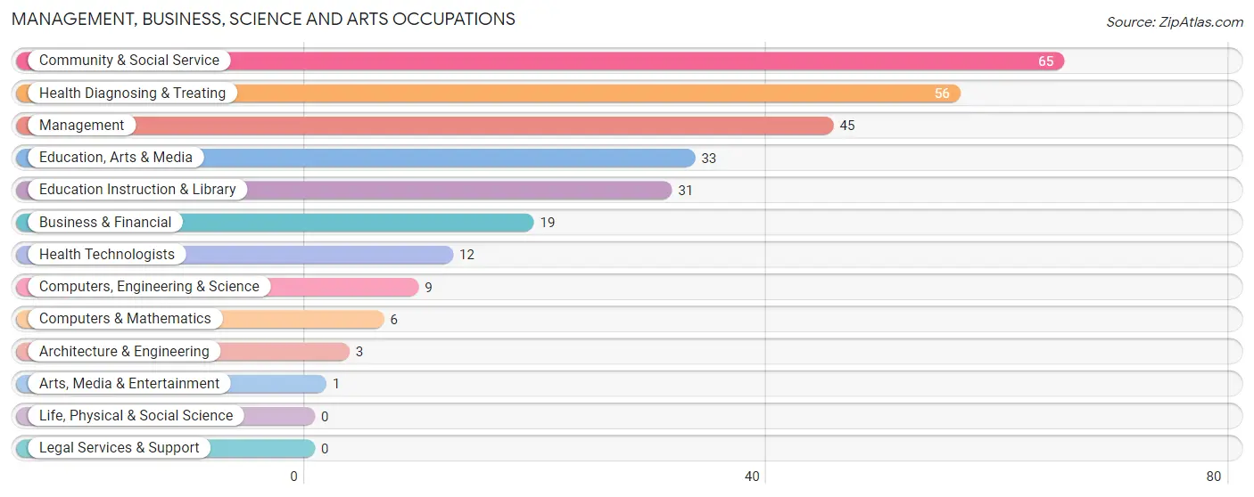 Management, Business, Science and Arts Occupations in Rector