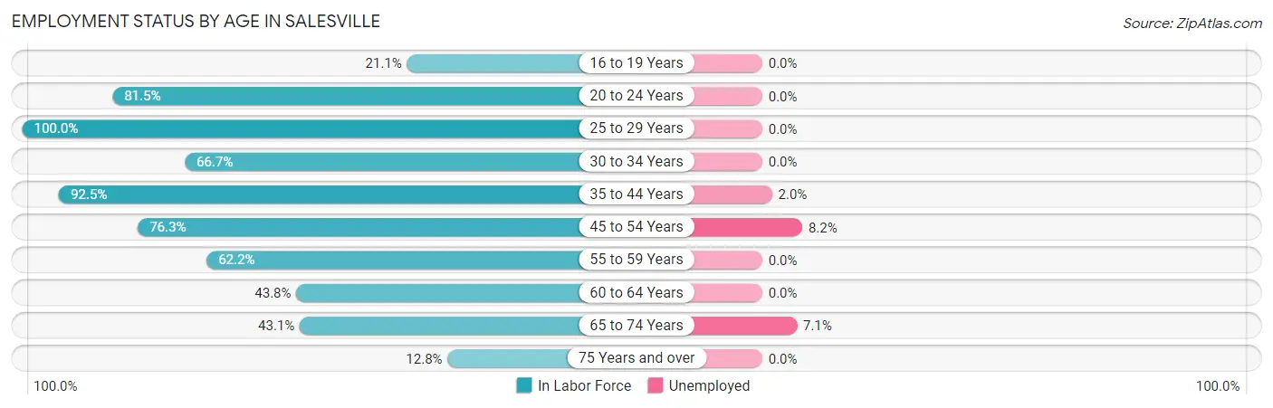 Employment Status by Age in Salesville