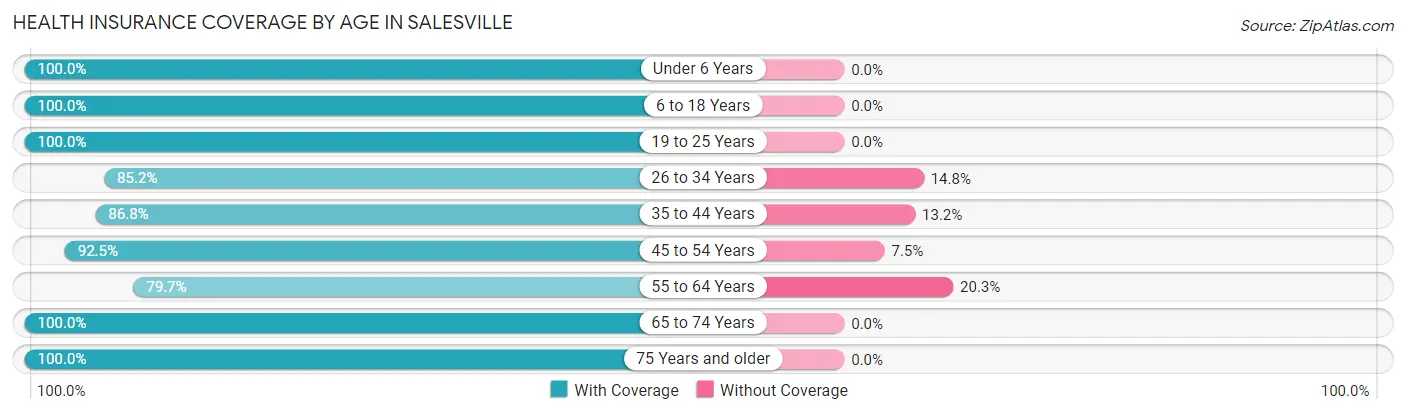 Health Insurance Coverage by Age in Salesville