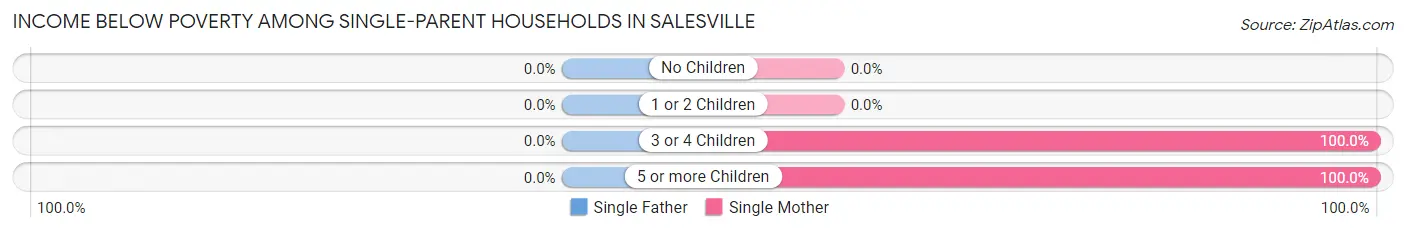 Income Below Poverty Among Single-Parent Households in Salesville