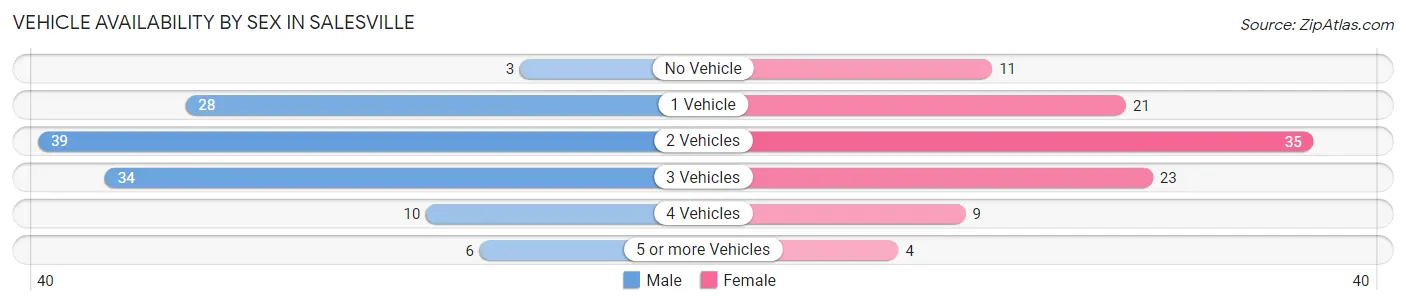 Vehicle Availability by Sex in Salesville