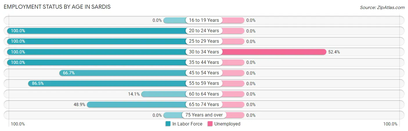 Employment Status by Age in Sardis