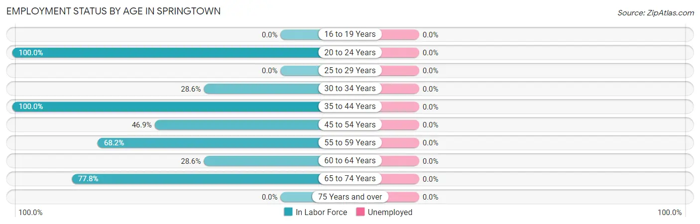 Employment Status by Age in Springtown