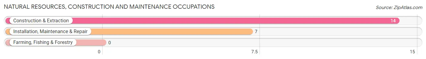 Natural Resources, Construction and Maintenance Occupations in Sulphur Rock