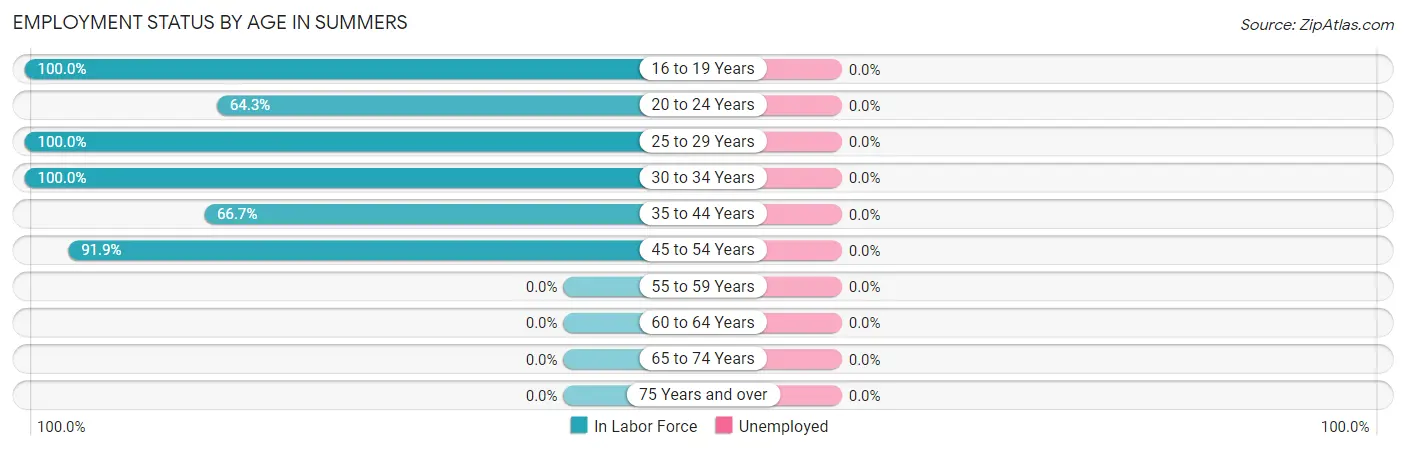 Employment Status by Age in Summers