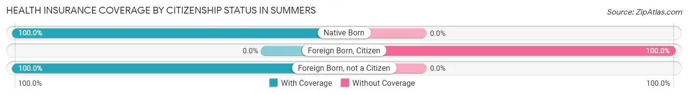 Health Insurance Coverage by Citizenship Status in Summers