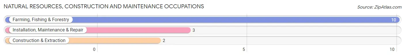 Natural Resources, Construction and Maintenance Occupations in Thornton