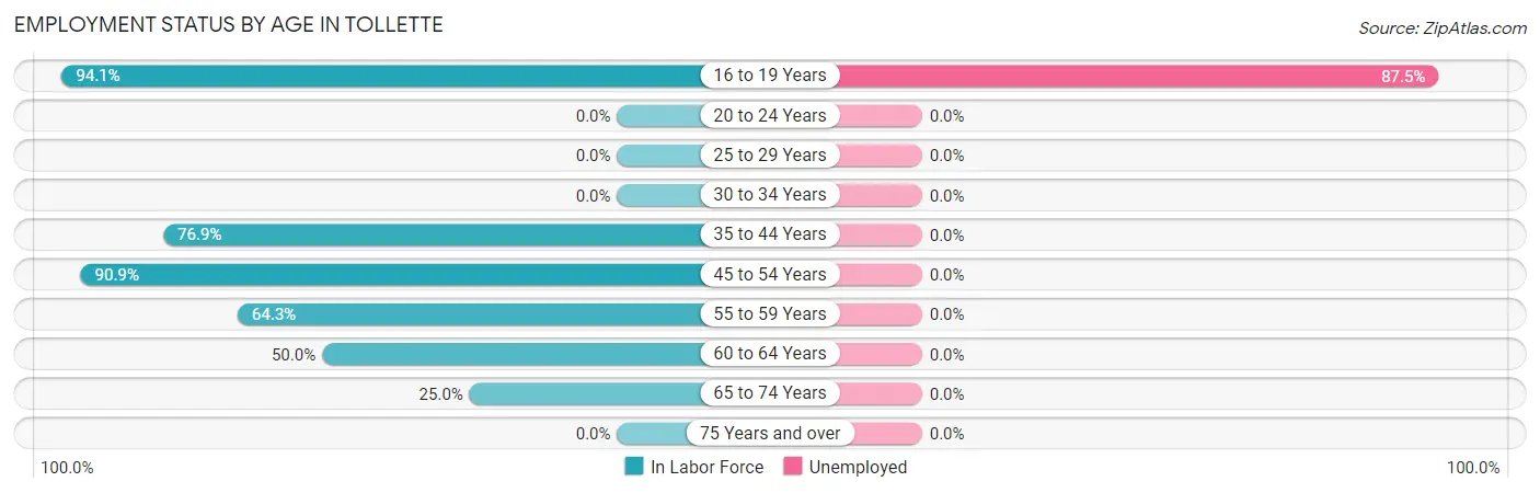 Employment Status by Age in Tollette