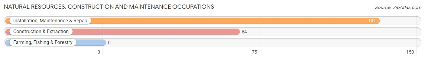 Natural Resources, Construction and Maintenance Occupations in Trumann