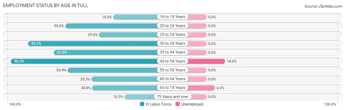 Employment Status by Age in Tull