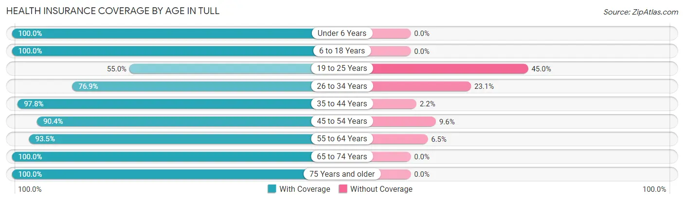 Health Insurance Coverage by Age in Tull
