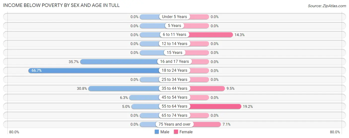 Income Below Poverty by Sex and Age in Tull