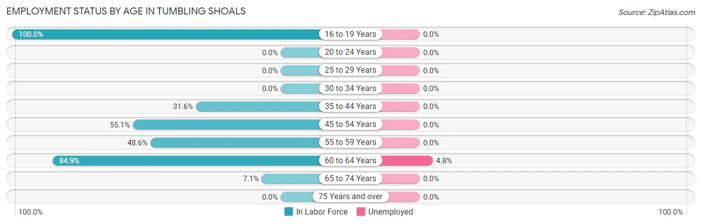 Employment Status by Age in Tumbling Shoals