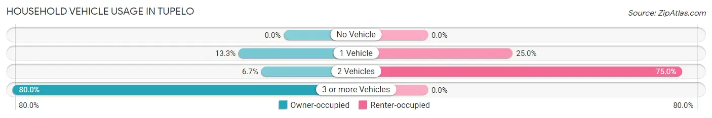 Household Vehicle Usage in Tupelo