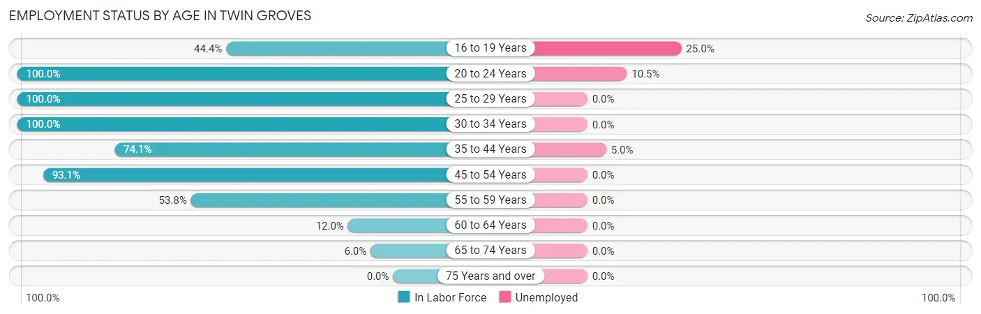 Employment Status by Age in Twin Groves