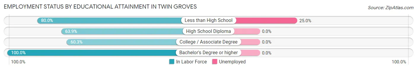 Employment Status by Educational Attainment in Twin Groves