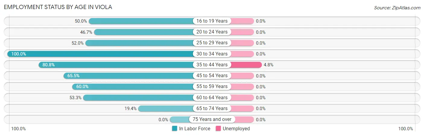 Employment Status by Age in Viola