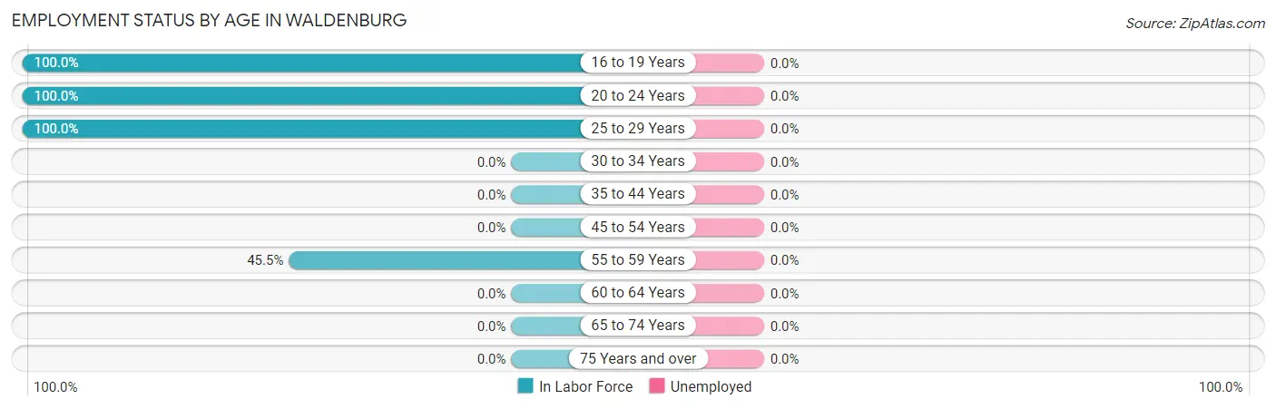 Employment Status by Age in Waldenburg