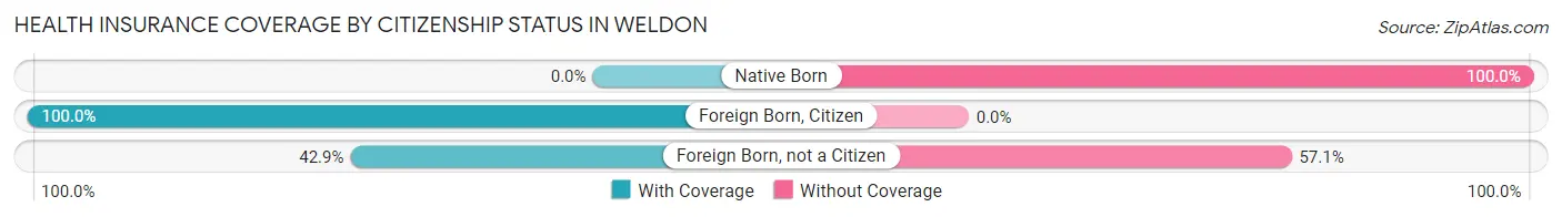 Health Insurance Coverage by Citizenship Status in Weldon