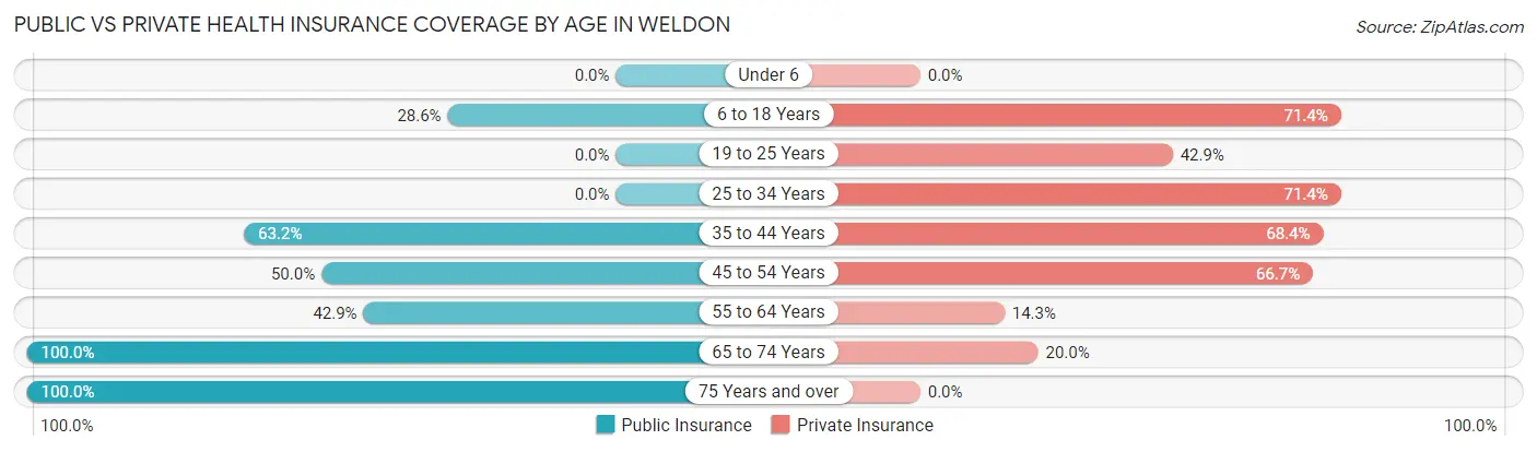Public vs Private Health Insurance Coverage by Age in Weldon