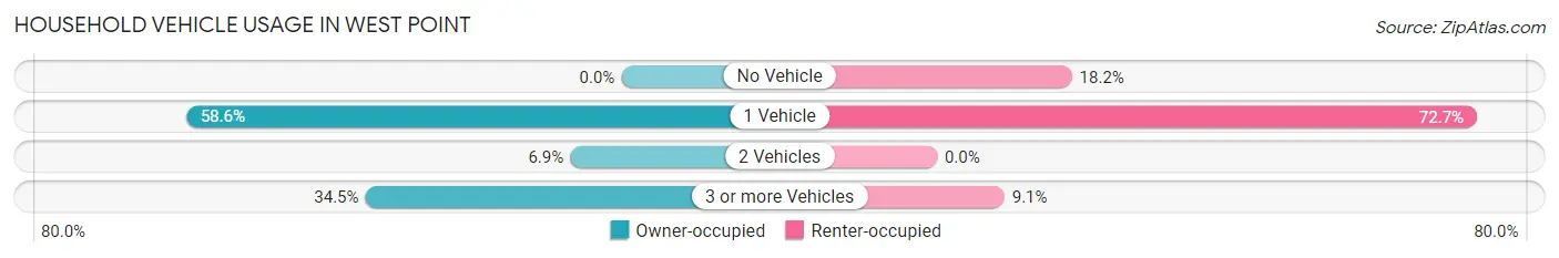 Household Vehicle Usage in West Point