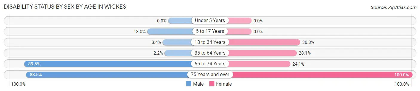 Disability Status by Sex by Age in Wickes