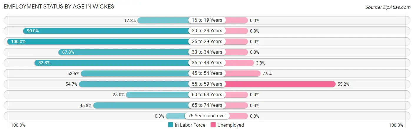 Employment Status by Age in Wickes