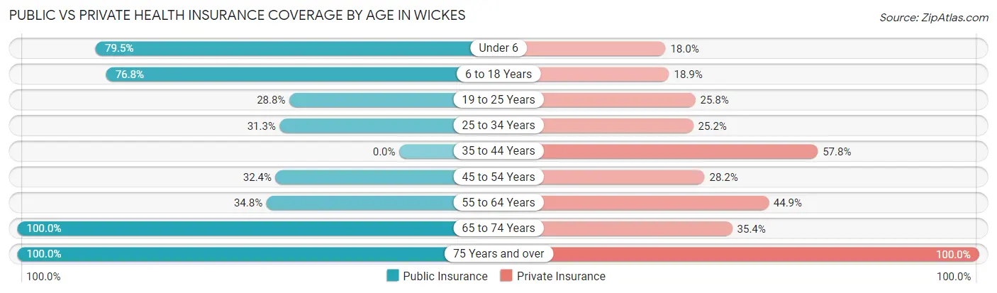 Public vs Private Health Insurance Coverage by Age in Wickes