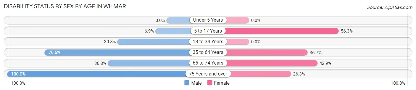 Disability Status by Sex by Age in Wilmar