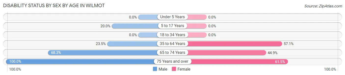 Disability Status by Sex by Age in Wilmot