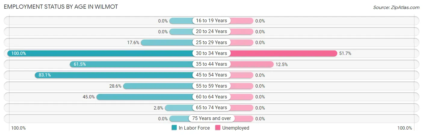 Employment Status by Age in Wilmot