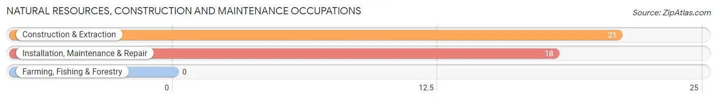 Natural Resources, Construction and Maintenance Occupations in Wooster