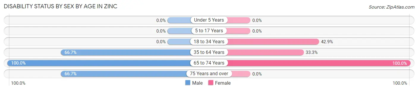 Disability Status by Sex by Age in Zinc