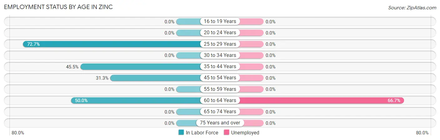 Employment Status by Age in Zinc