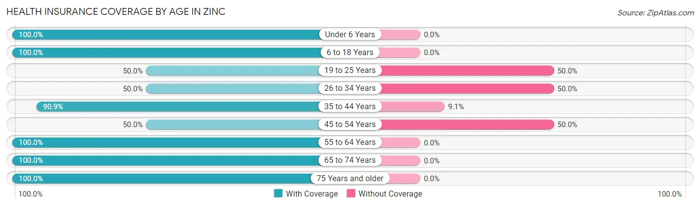 Health Insurance Coverage by Age in Zinc