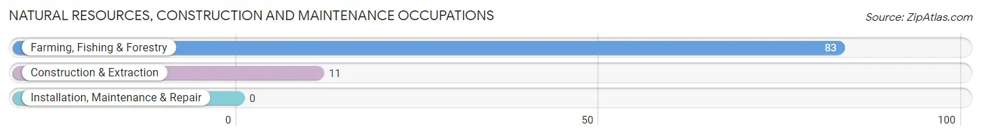 Natural Resources, Construction and Maintenance Occupations in Aguila