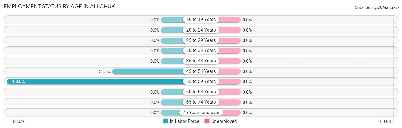 Employment Status by Age in Ali Chuk