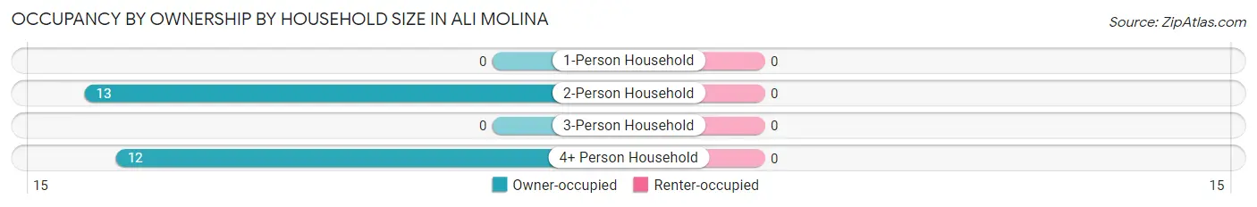 Occupancy by Ownership by Household Size in Ali Molina