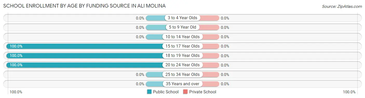 School Enrollment by Age by Funding Source in Ali Molina