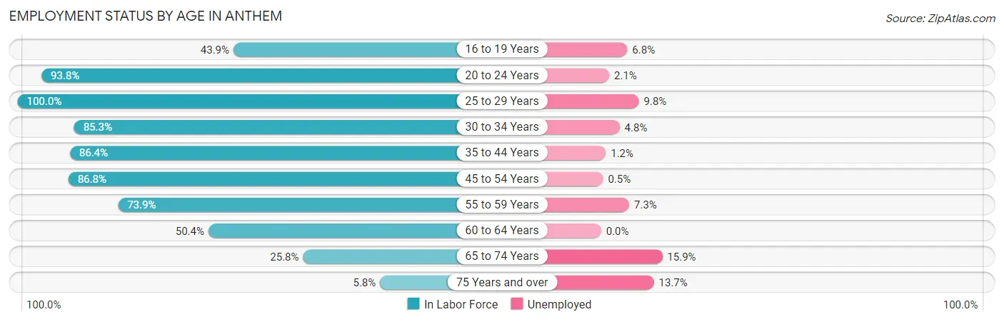 Employment Status by Age in Anthem